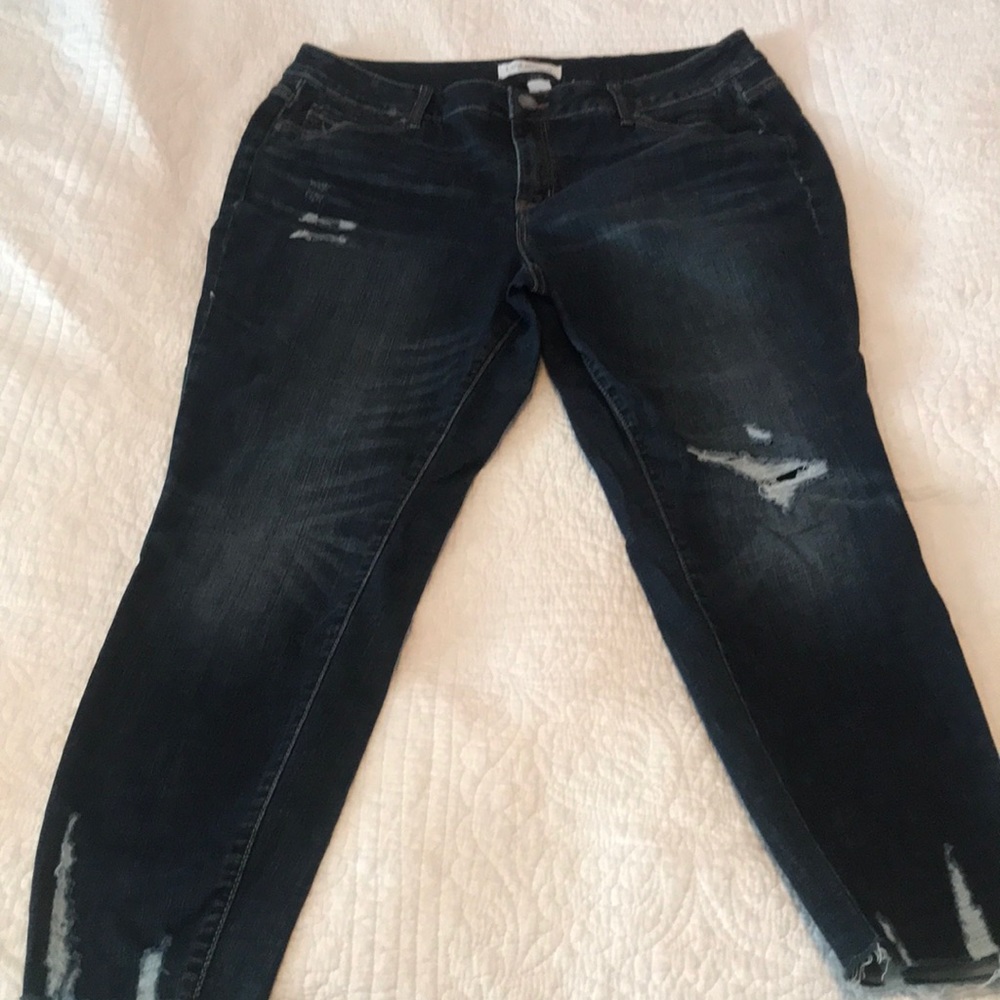 Lane Bryant Ankle Skinny Jean